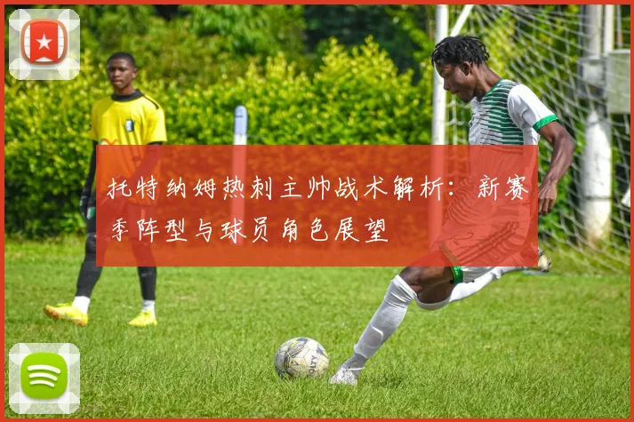 托特纳姆热刺主帅战术解析：新赛季阵型与球员角色展望
