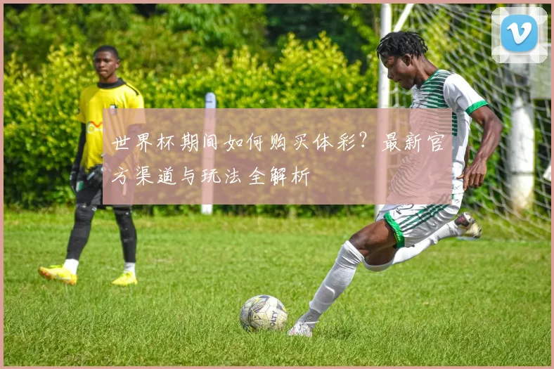 世界杯期间如何购买体彩？最新官方渠道与玩法全解析