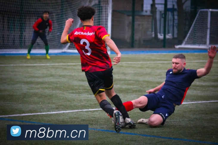 开云网页版在线登录appAPP 封面图